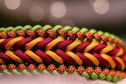 Halsband ''KIWI''